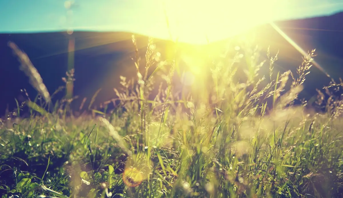 6 Myths About Green Burial
