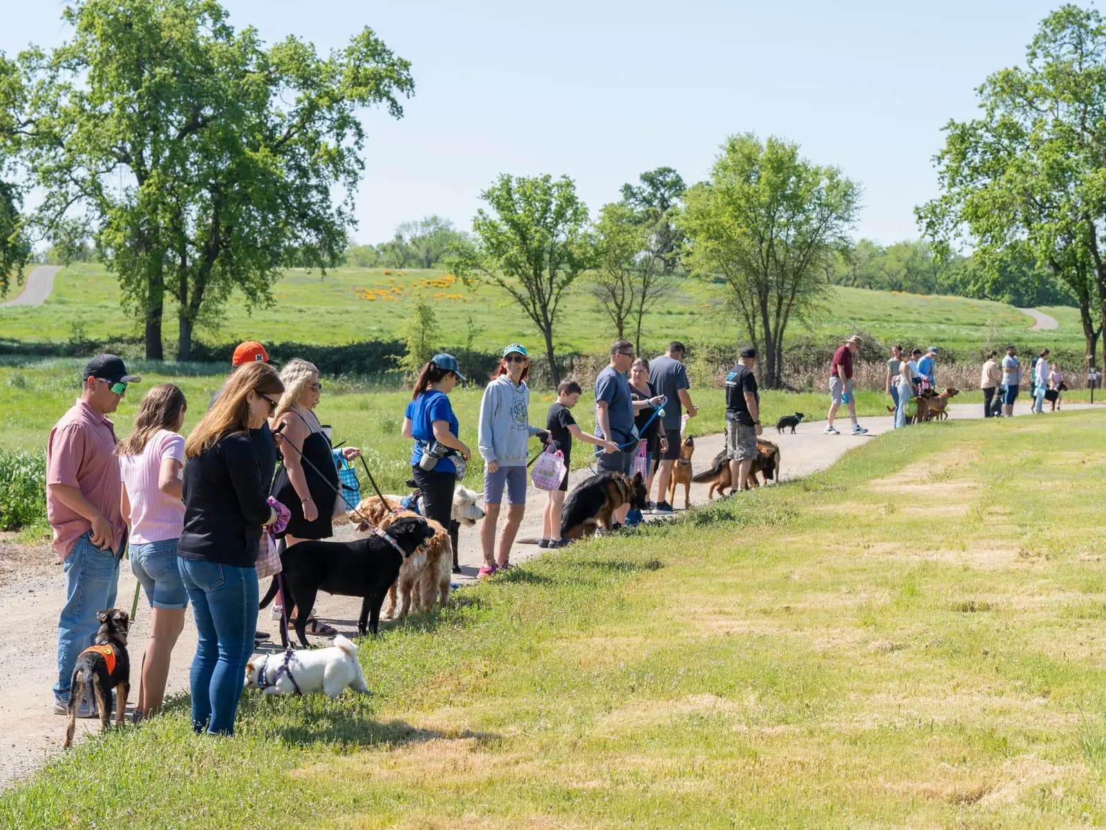 Easter Pawty Highlights at Morgan Oaks Green Burial!