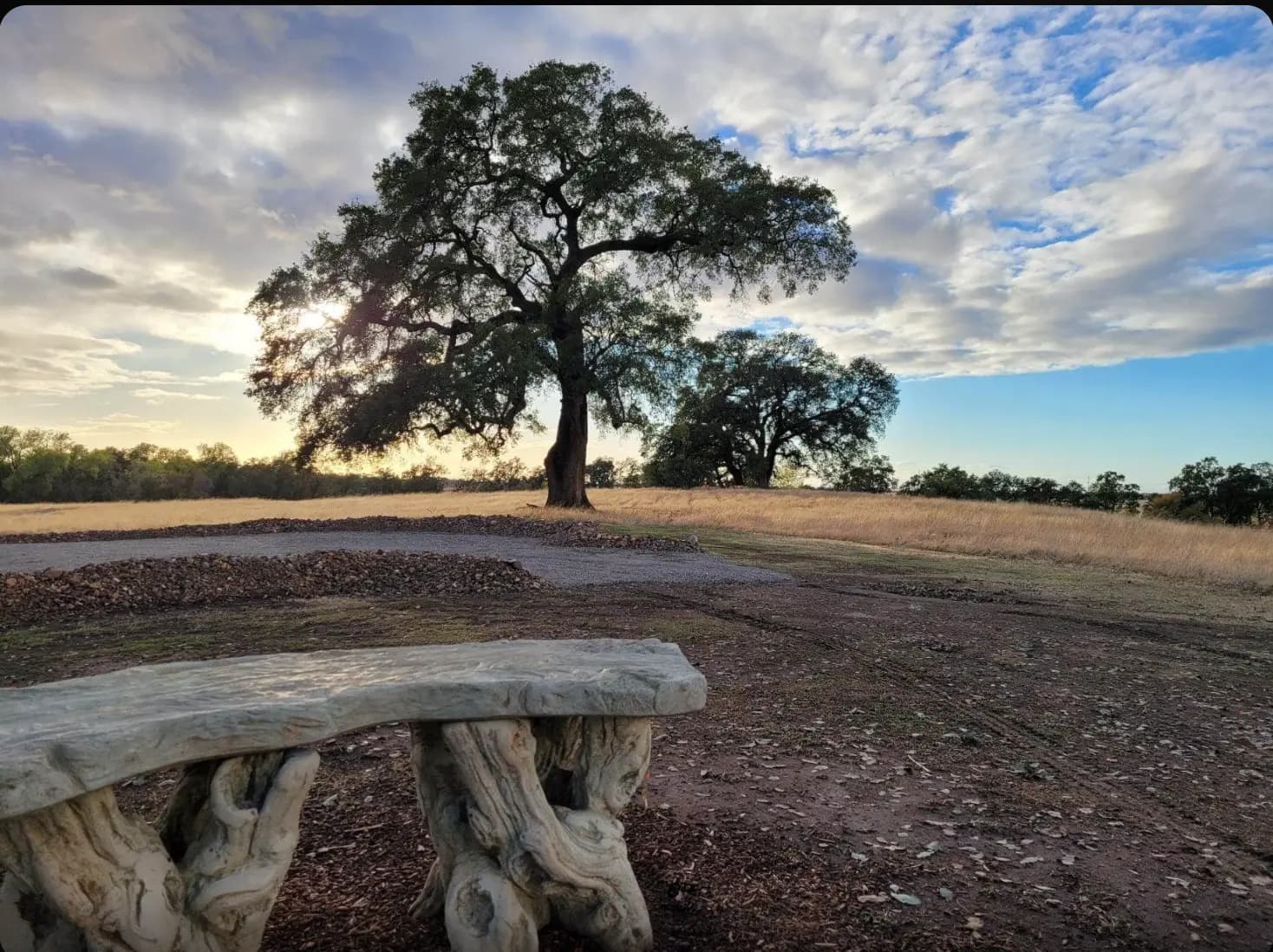 Green Burial in Lincoln, CA: A Natural Way to Return to the Earth at Morgan Oaks