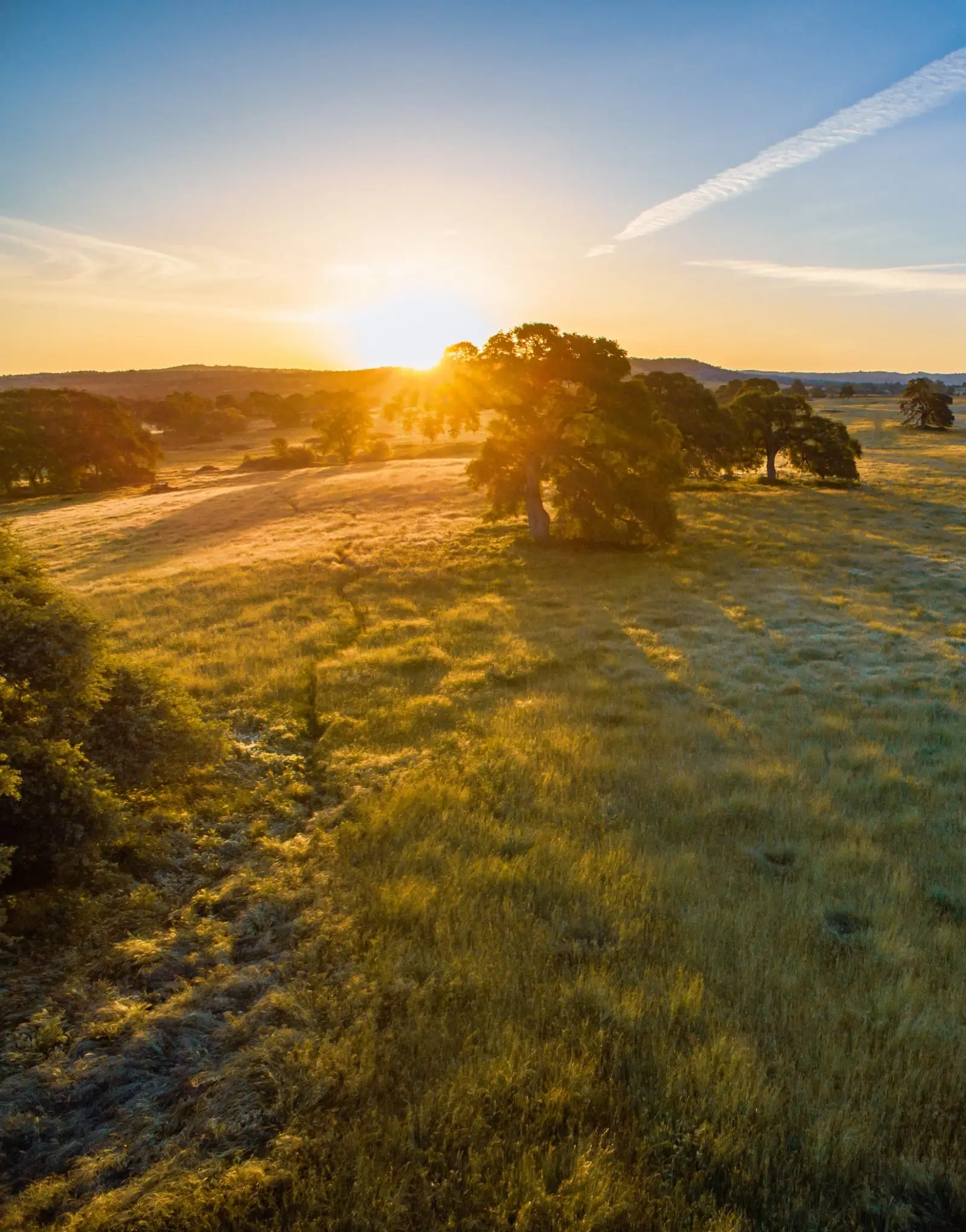 Embrace Eco-Friendly Death: Choose Green Burial