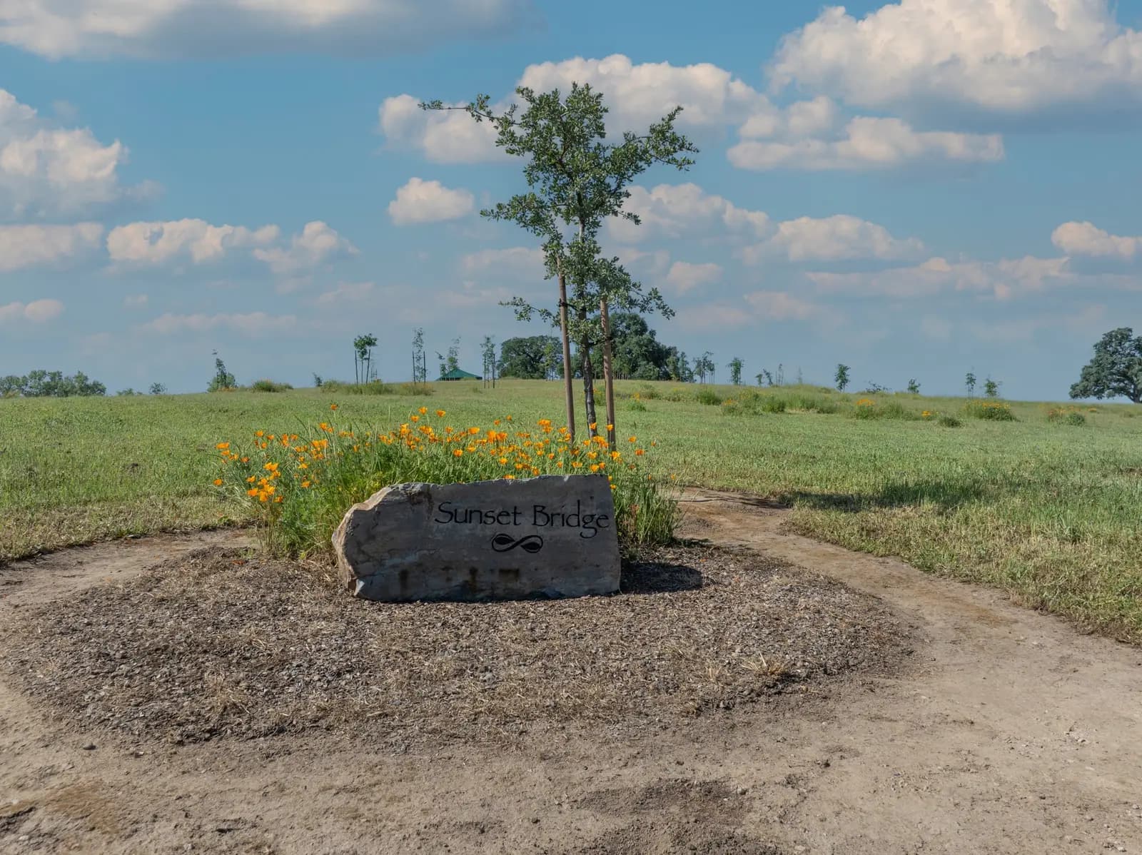 How to Choose the Right Cemetery in California for a Natural Burial
