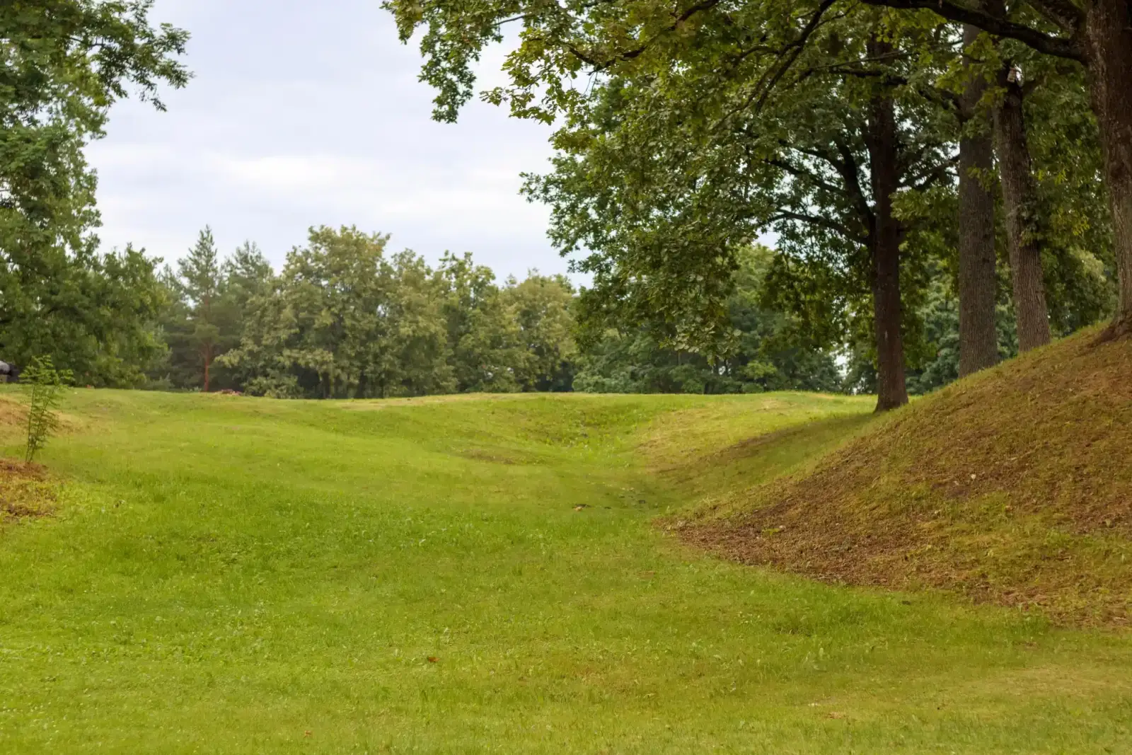 Introducing Peaceful Path Rewards: Share the Journey, Lighten the Way