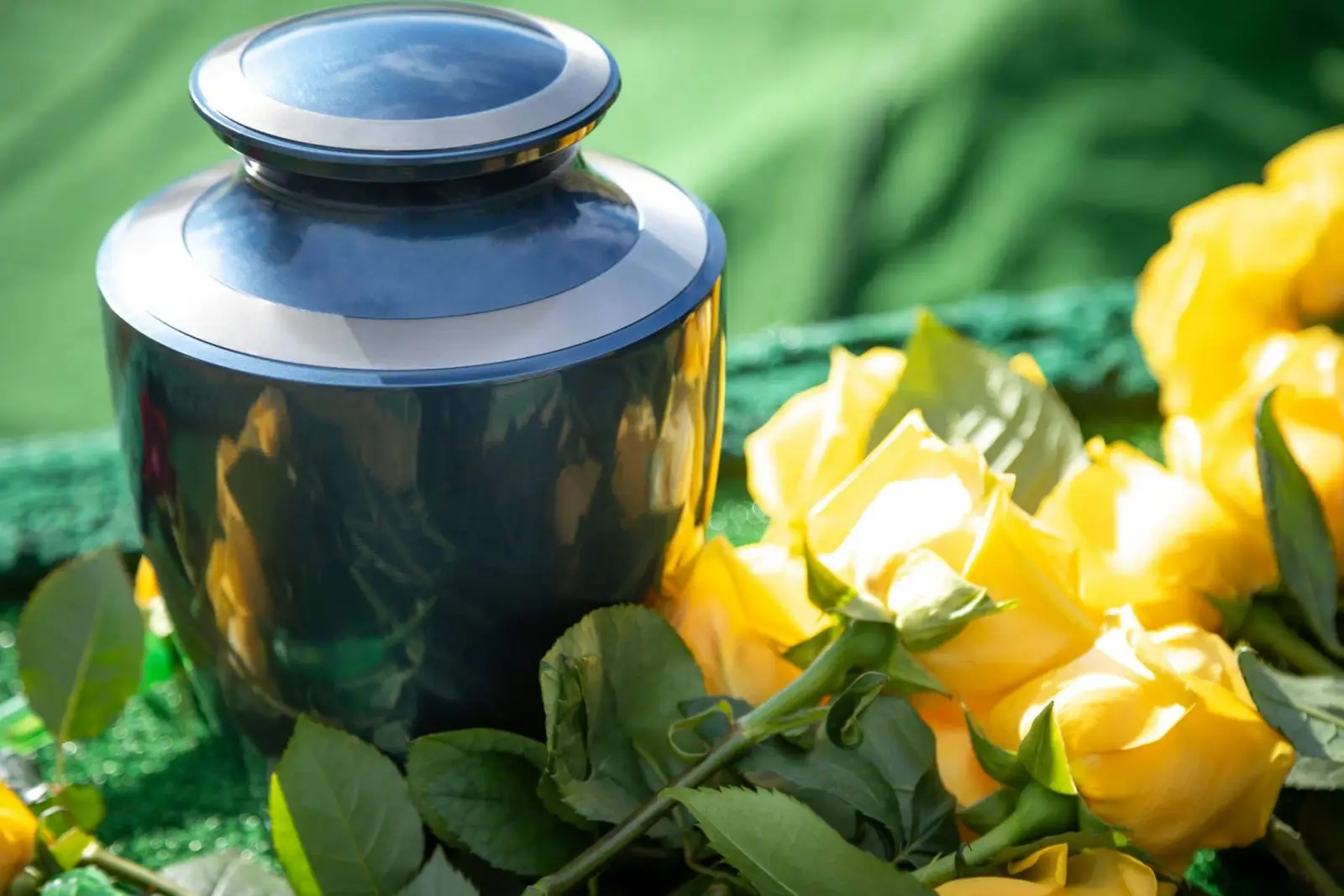 Explore Eco-Friendly Green Burial Options
