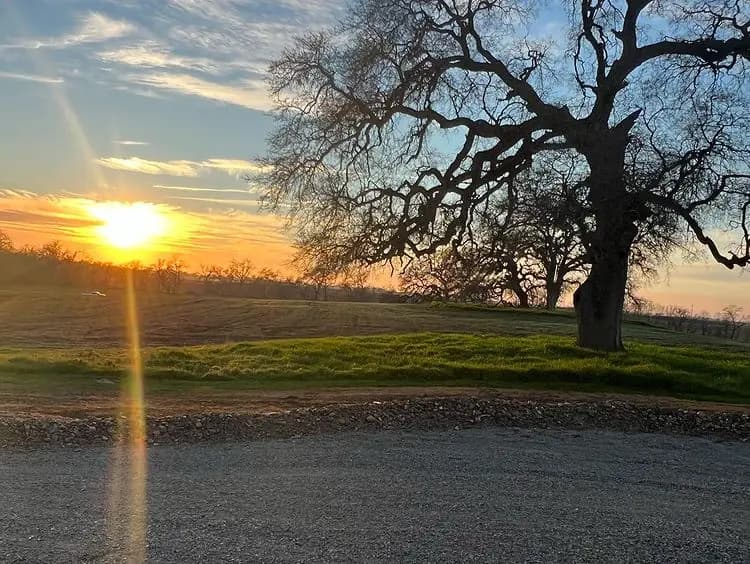 Explore Eco-Friendly Green Burials at Morgan Oaks