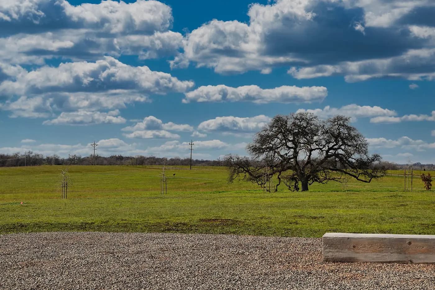 Where to Find a Green Burial Option Near You
