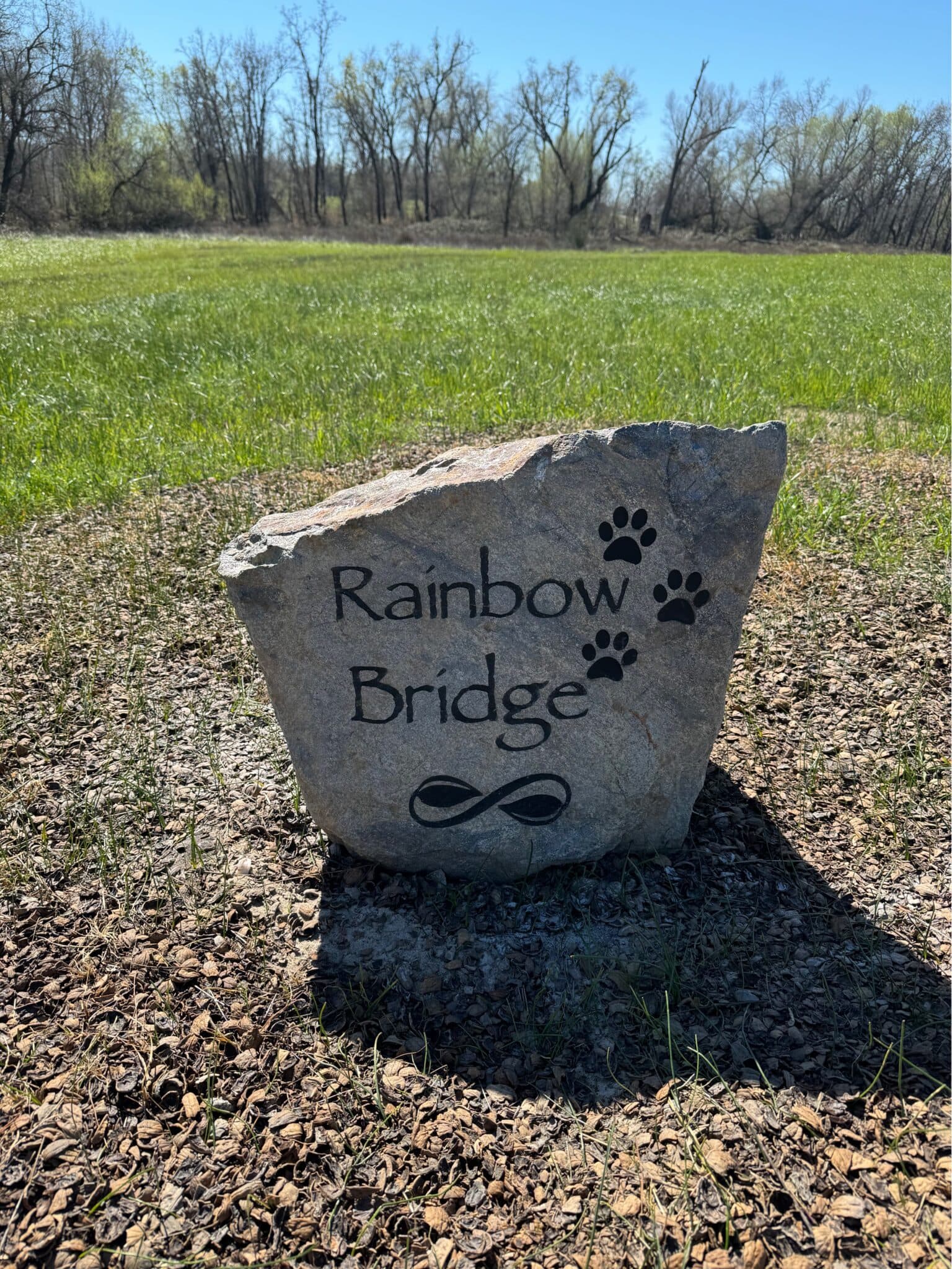Rainbow Bridge pet cemetery boulder engraved with paw prints