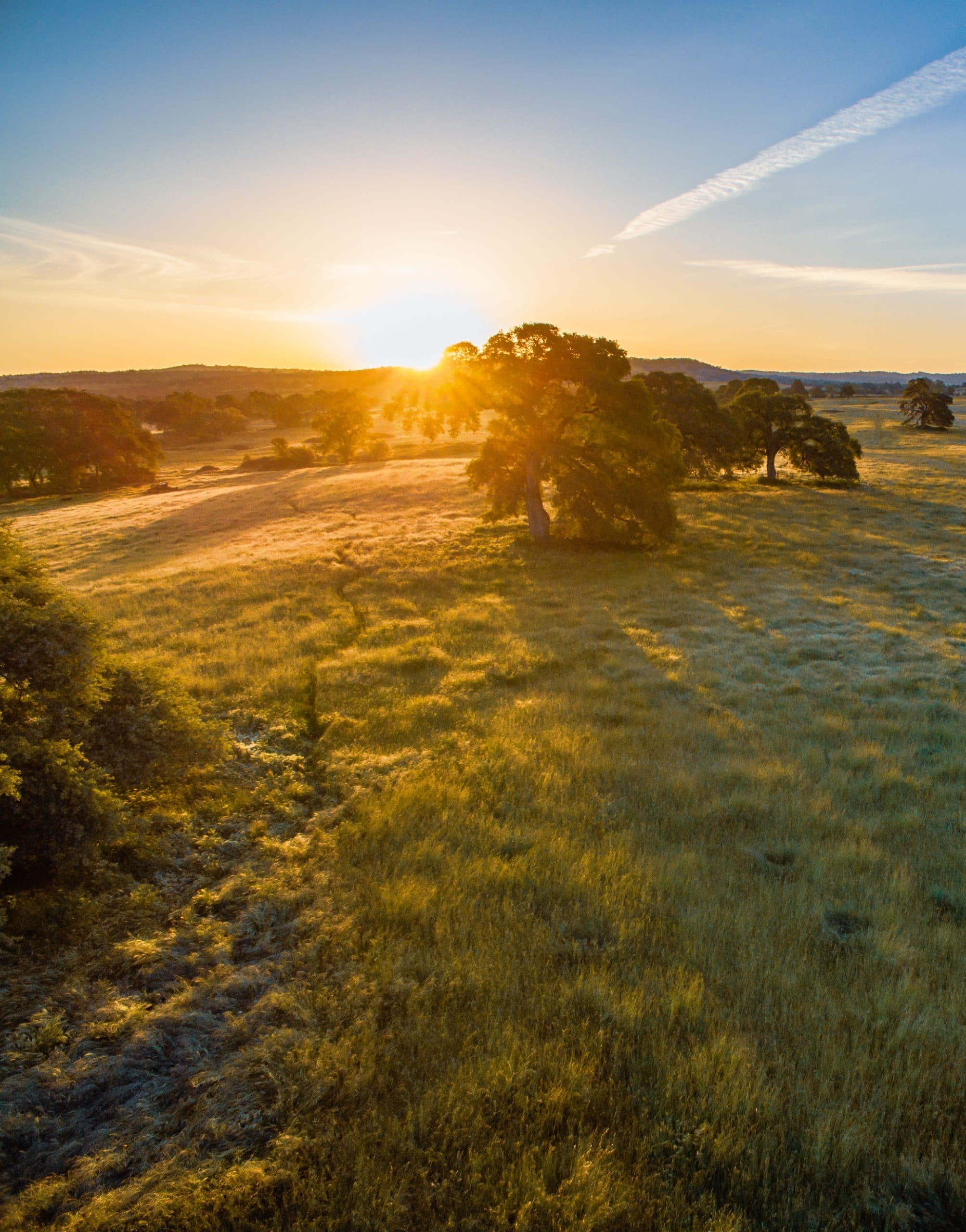 Golden sunrise over rolling grassland and oak-dotted hills near Lincoln, California