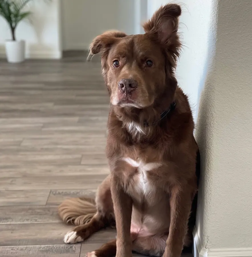 Photo of Kenai