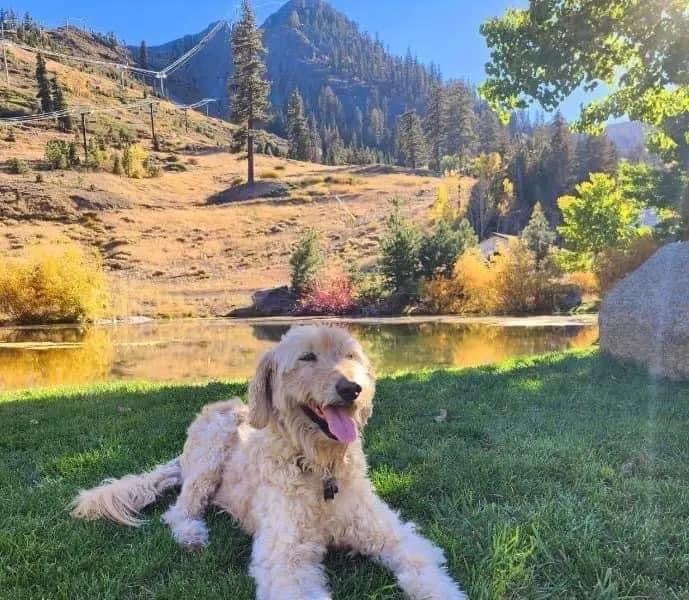 Photo of Max