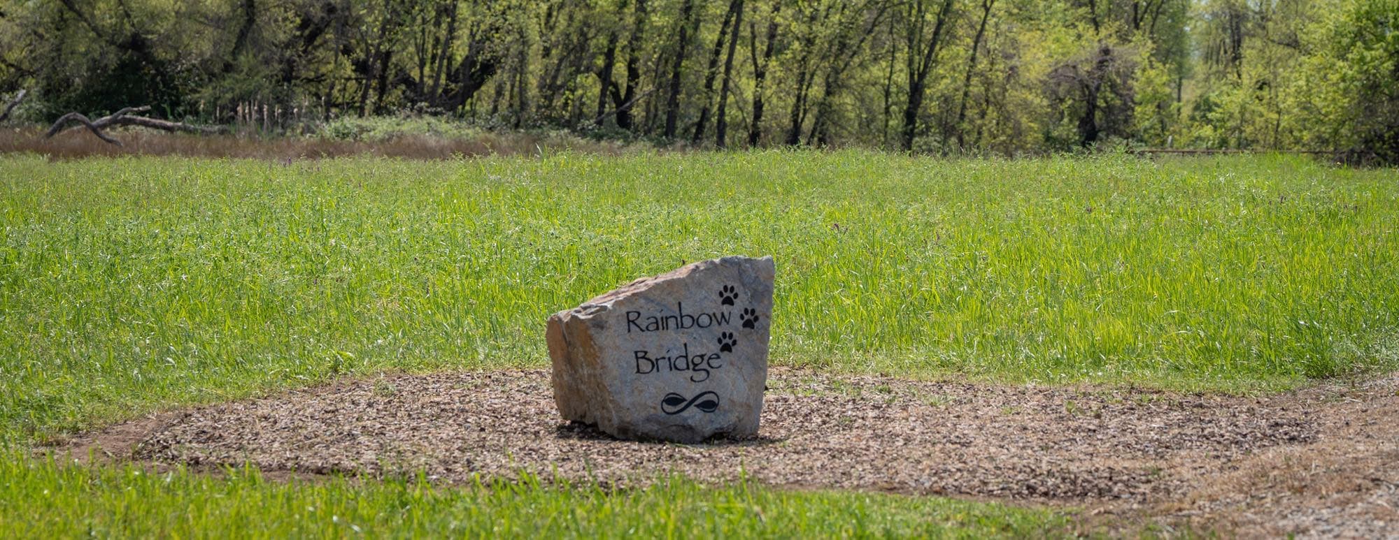 Rainbow Bridge pet burial garden boulder engraved with paw prints in an open meadow