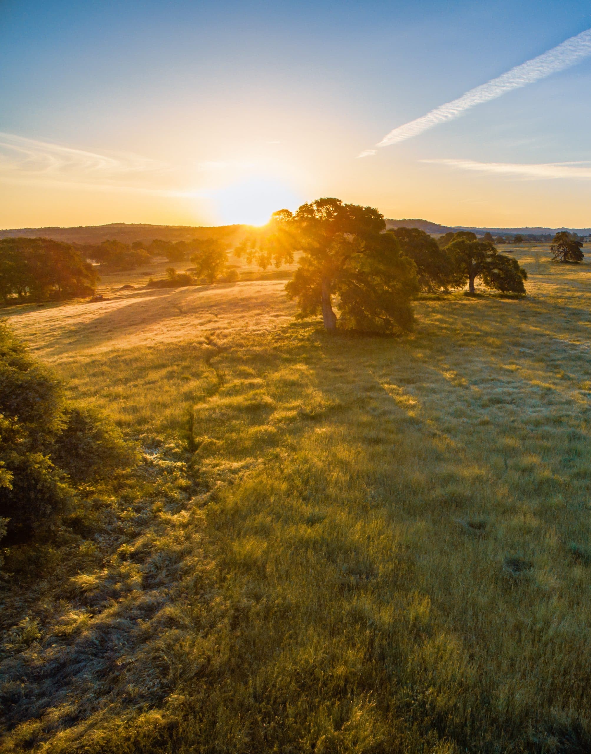 How Is Green Burial Different?