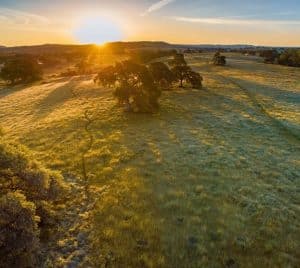 green burial from a sky view