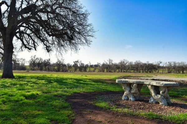 green burial services in marin county ca