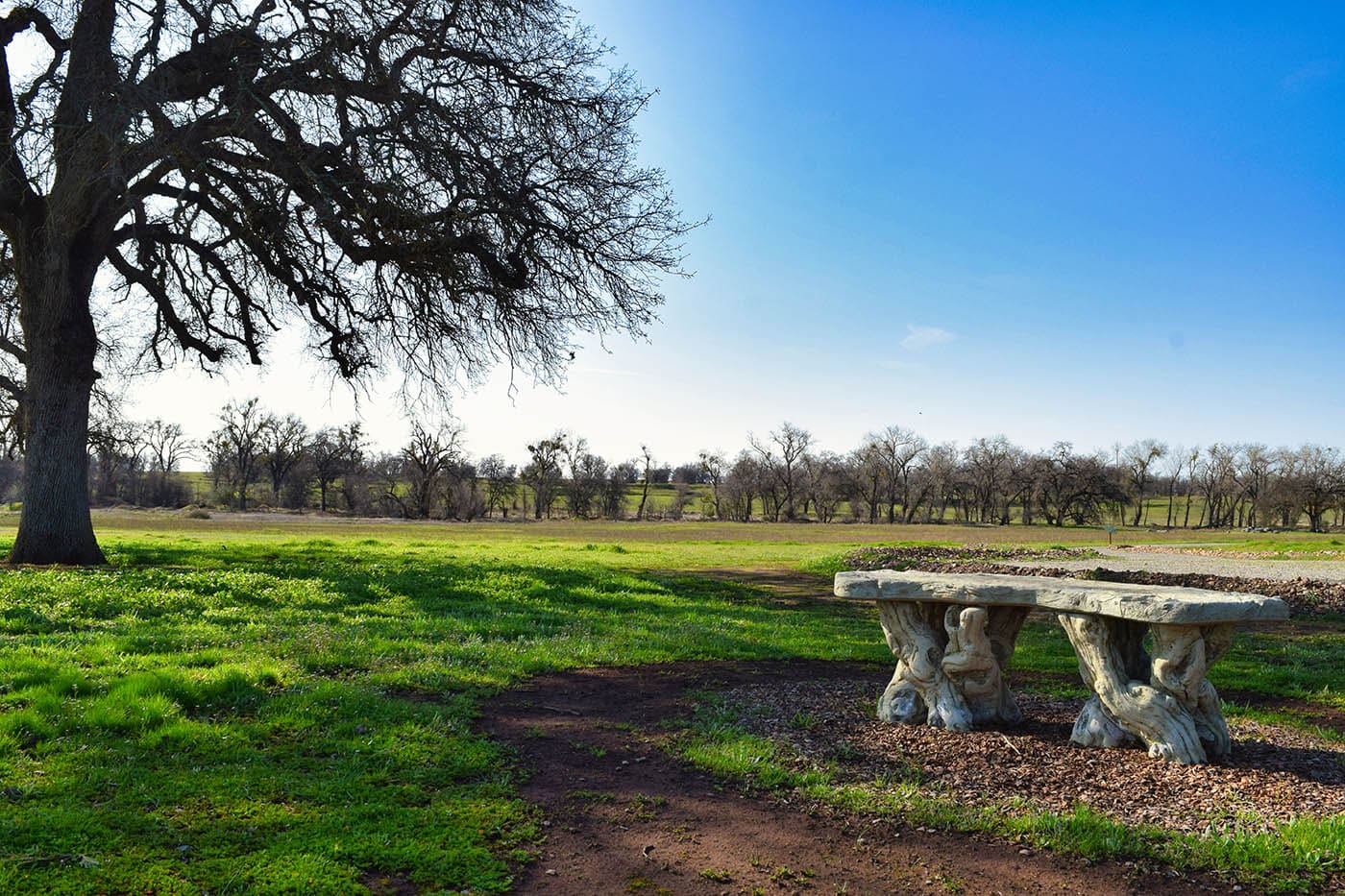 green burial services in marin county ca