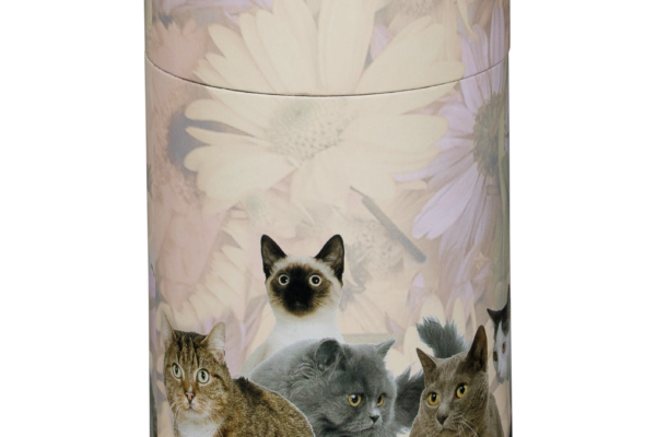 Cat Urn