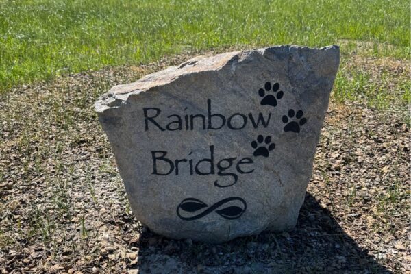 rainbow-bridge