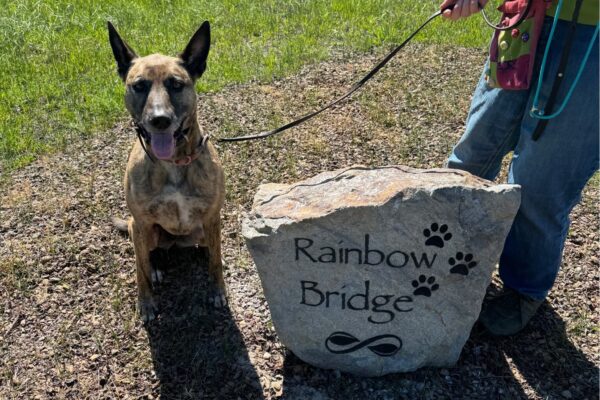 rainbow-bridge02