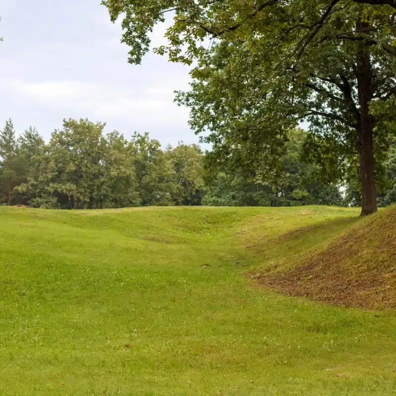 Lush green park with trees and undulating grassy terrain for Green Burial Services in Napa County, California