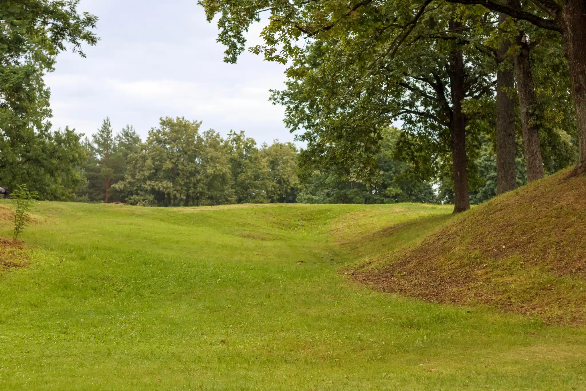 Introducing Peaceful Path Rewards: Share the Journey, Lighten the Way