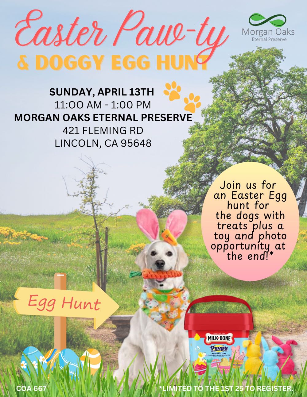 Flyer for Easter dog event with date, location, and activities