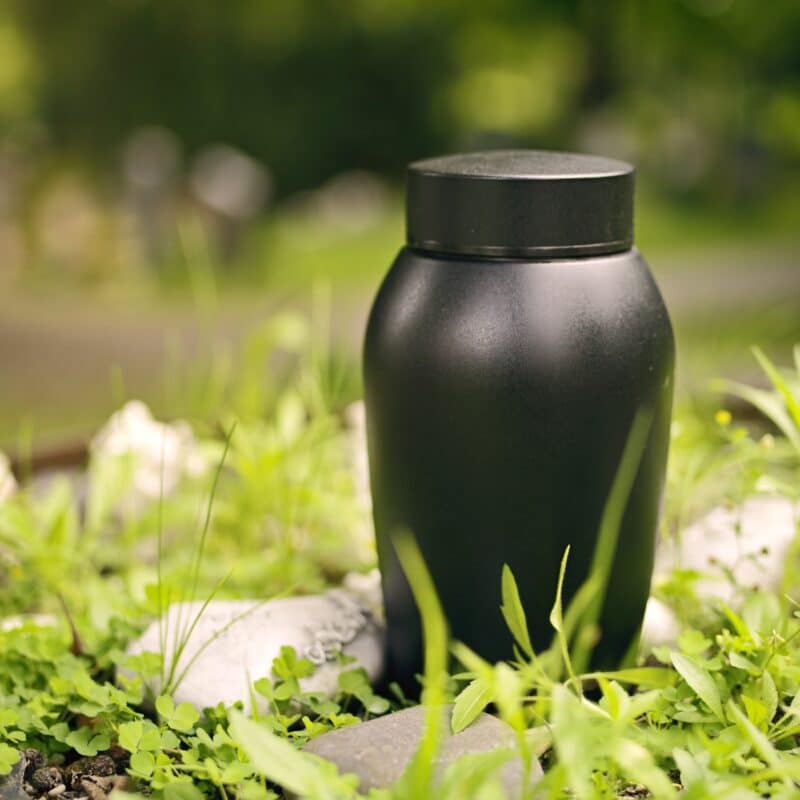 Black urn in tranquil garden setting