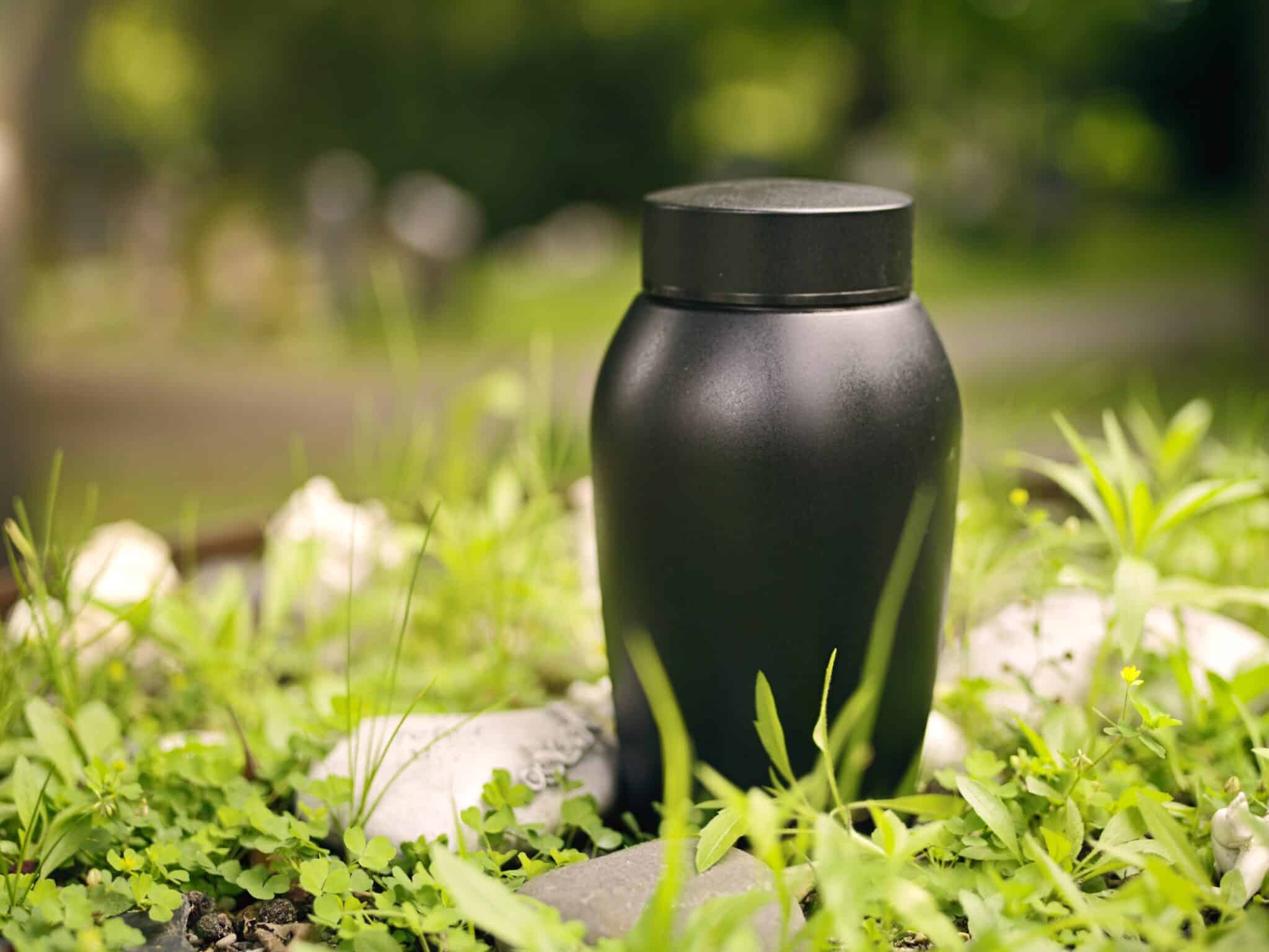Black urn in tranquil garden setting
