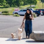 Woman walking two small dogs while holding coffee
