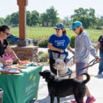 People and dogs at SPCA event in sunny park