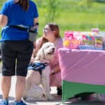 Woman and therapy dog at outdoor charity event
