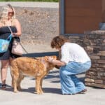 Woman petting dog while another woman watches.
