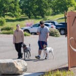 Couple walking dogs near park sign on sunny day