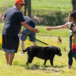 People and dogs playing in sunny park.