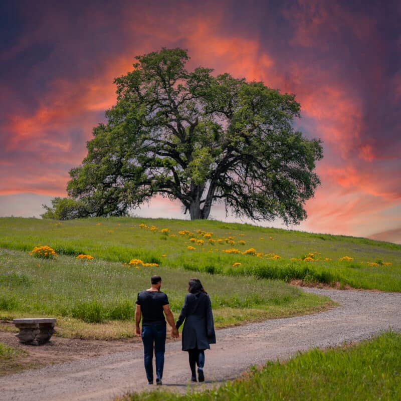 Couple walking near tree under vibrant sunset sky