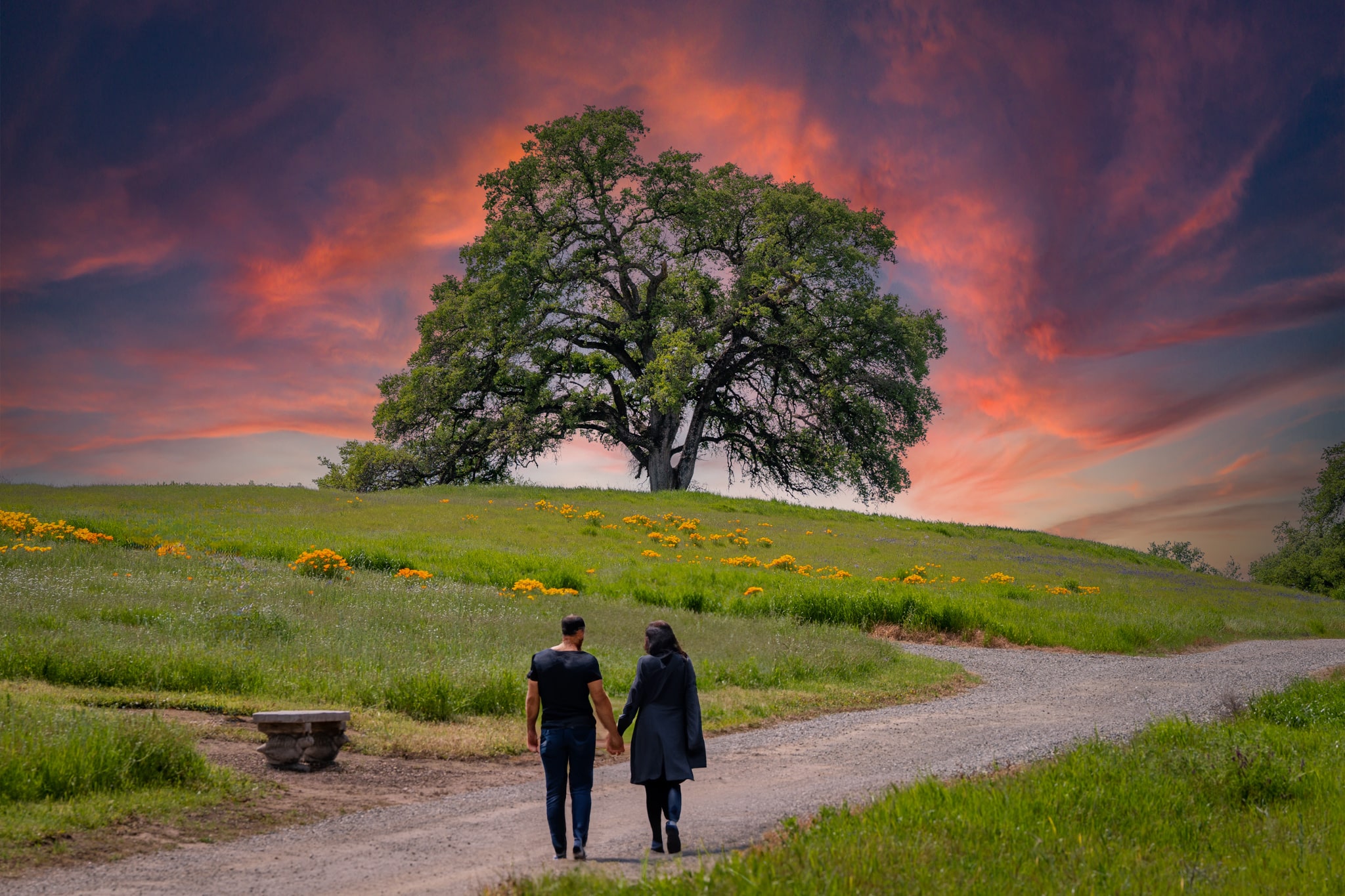 Why More Families Are Exploring Cremation Alternatives in California