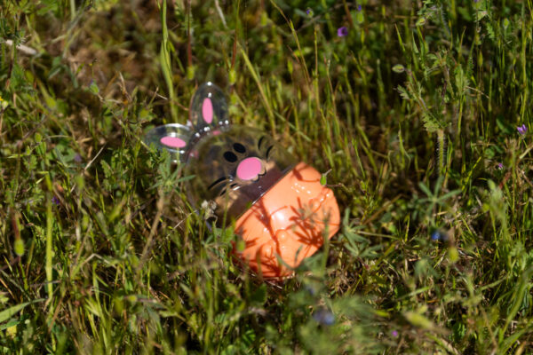 _A745138 Orange toy bucket with transparent bunny ears in grass