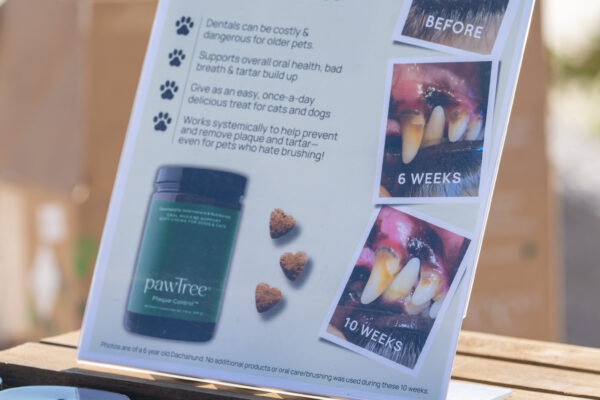 PawTree plaque control product display with informational sign