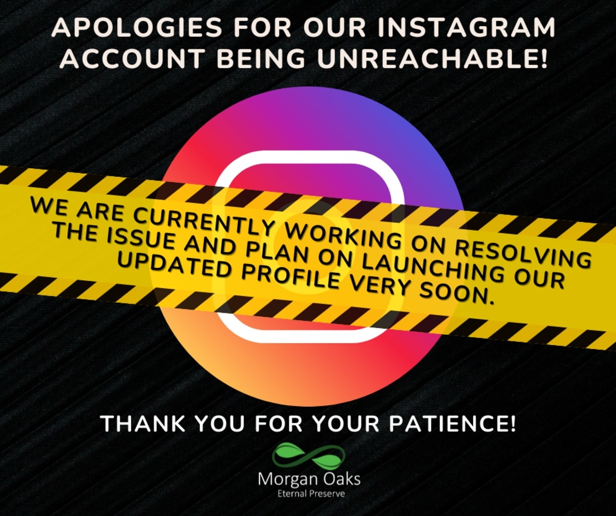 Instagram account update notice with apology from Morgan Oaks