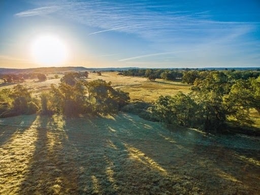 Sunrise over serene landscape with scattered trees