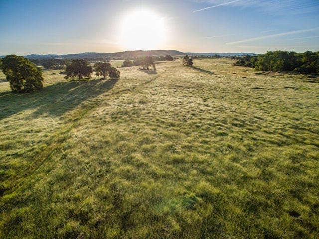 Laws Around Natural Burial in California