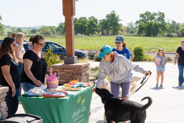 _A745213 Community event with dog and people at outdoor booth
