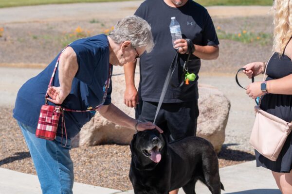 _A745255 Elderly woman pets black dog with others outdoors