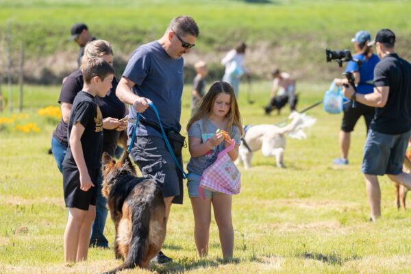 _A745320 Family with dog walking in sunny park field