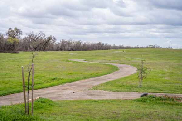 _A747919 Winding path through green park with trees and clouds