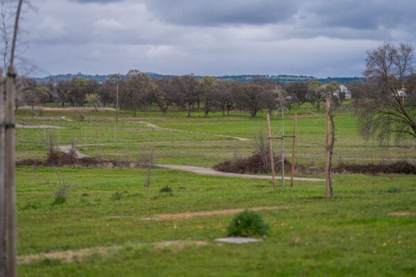 _A747933 Serene rural landscape with dirt paths and leafless trees