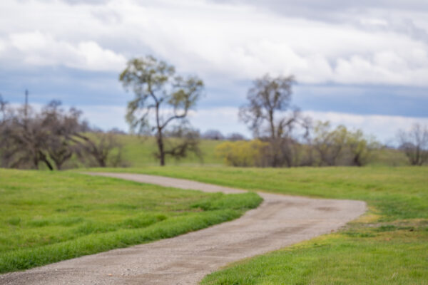_A747939 Curving path through lush green meadow under cloudy sky
