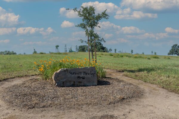 DJI_0824 copy Sunset Bridge sign with tree and wildflowers in field