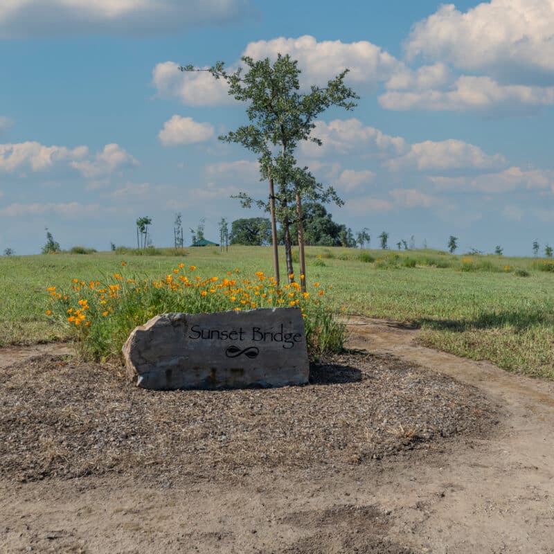 Sunset Bridge sign with tree and wildflowers in field