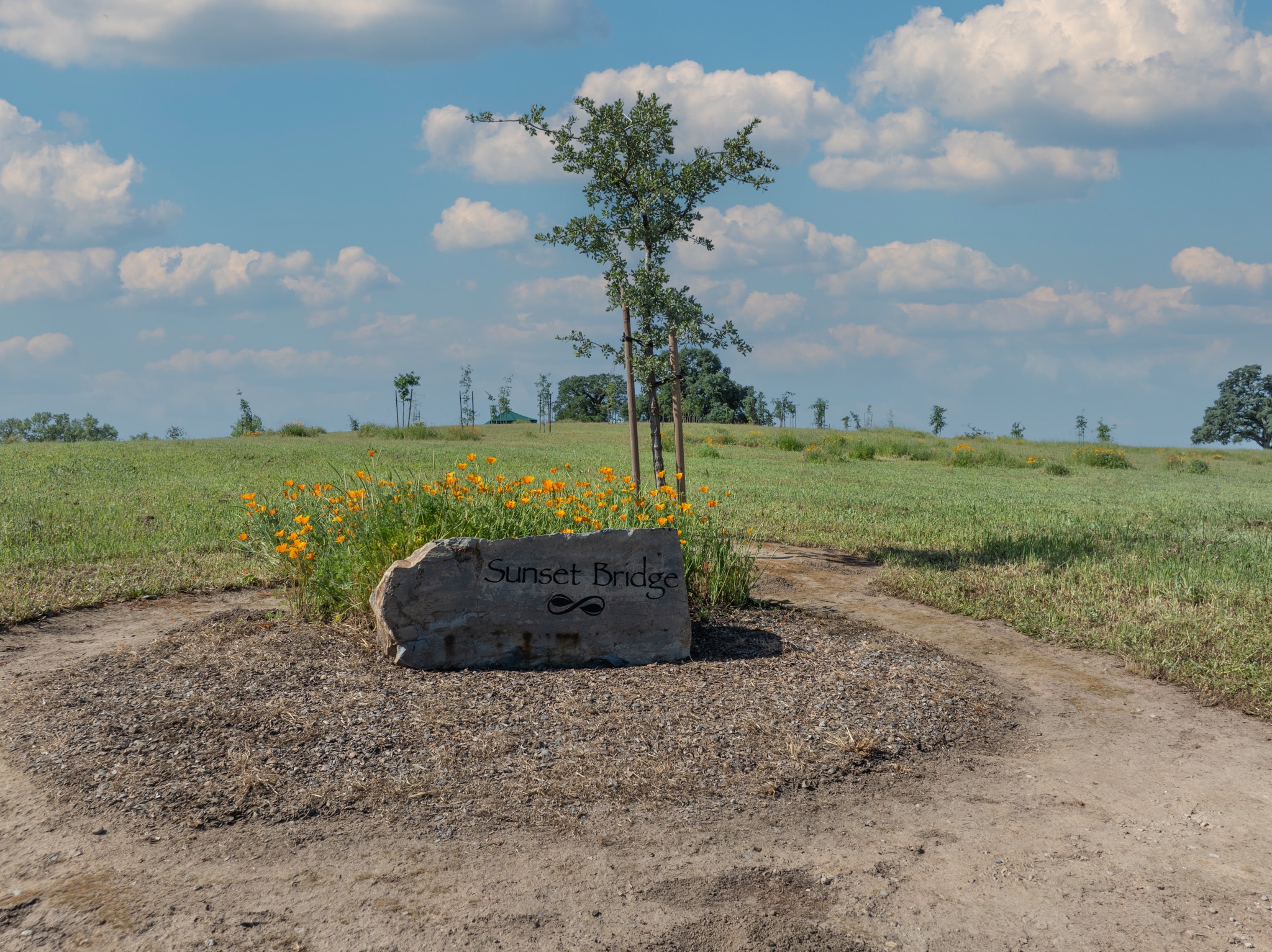 How to Choose the Right Cemetery in California for a Natural Burial