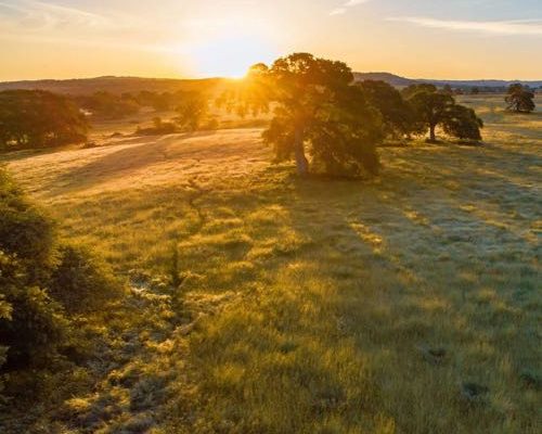 NP-06_1607560012-1605x2048