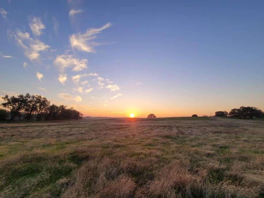 Winter at Morgan Oaks